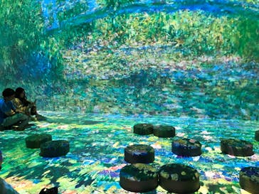 浜名湖花博2024に投稿された画像（2024/5/29）