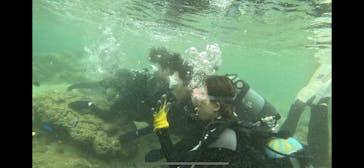 武藤潜水に投稿された画像（2024/5/29）