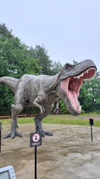 福井県立恐竜博物館に投稿された画像（2024/5/29）