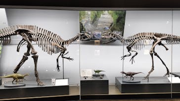 福井県立恐竜博物館に投稿された画像（2024/5/29）