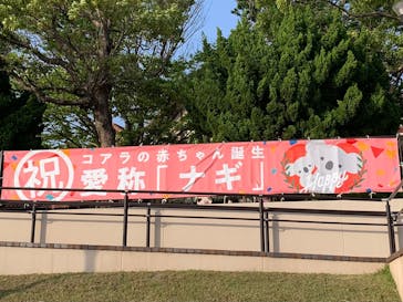 淡路ファームパーク イングランドの丘に投稿された画像（2024/5/29）