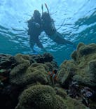 宮古島 ADVENTURE PiPi（ミヤコジマ アドベンチャー ピピ）に投稿された画像（2024/5/29）