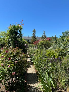 浜名湖花博2024に投稿された画像（2024/5/29）