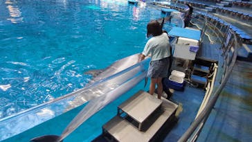 マクセル アクアパーク品川に投稿された画像（2024/5/29）