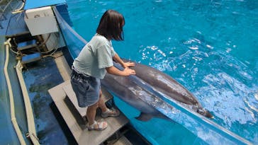 マクセル アクアパーク品川に投稿された画像（2024/5/29）