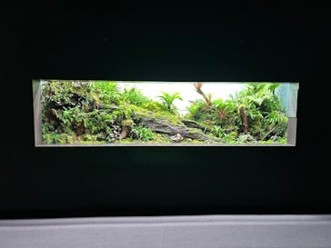 AOAO SAPPOROに投稿された画像（2024/5/29）