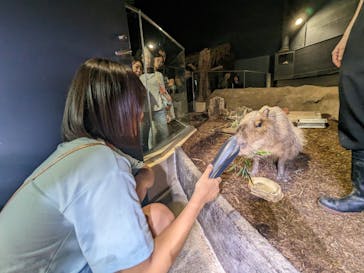 マクセル アクアパーク品川に投稿された画像（2024/5/29）