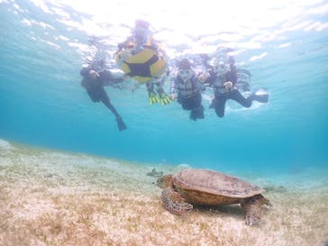 宮古島マリンショップSmileyに投稿された画像（2024/5/28）
