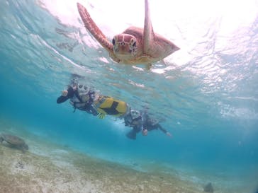 宮古島マリンショップSmileyに投稿された画像（2024/5/28）