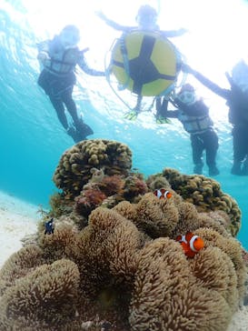 宮古島マリンショップSmileyに投稿された画像（2024/5/28）