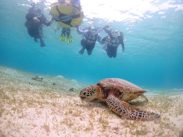 宮古島マリンショップSmileyに投稿された画像（2024/5/28）