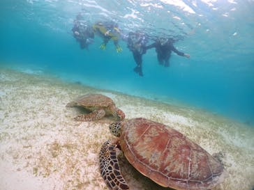 宮古島マリンショップSmileyに投稿された画像（2024/5/28）