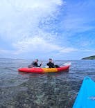 宮古島 ADVENTURE PiPi（ミヤコジマ アドベンチャー ピピ）に投稿された画像（2024/5/29）