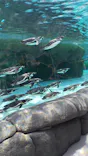 天王寺動物園に投稿された画像（2024/5/29）