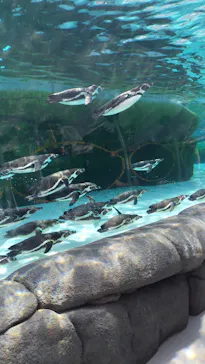 天王寺動物園に投稿された画像（2024/5/29）