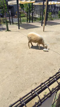 天王寺動物園に投稿された画像（2024/5/29）