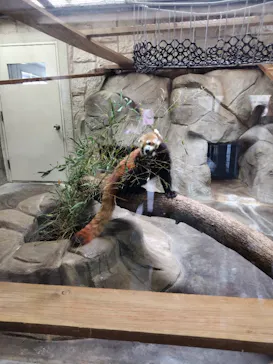 天王寺動物園に投稿された画像（2024/5/29）