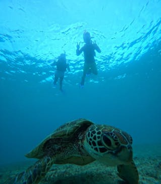 宮古島 ADVENTURE PiPi（ミヤコジマ アドベンチャー ピピ）に投稿された画像（2024/5/29）