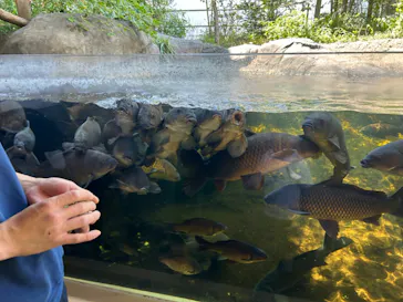 仙台うみの杜水族館に投稿された画像（2024/5/29）
