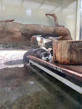 仙台うみの杜水族館に投稿された画像（2024/5/29）