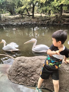 神戸どうぶつ王国に投稿された画像（2024/5/29）