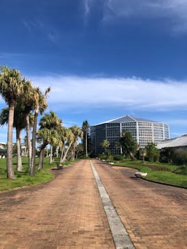 アロハガーデンたてやまに投稿された画像（2024/5/29）