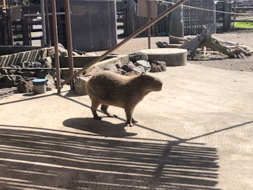 アロハガーデンたてやまに投稿された画像（2024/5/29）