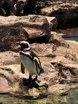 すみだ水族館に投稿された画像（2024/5/29）