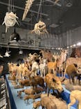 特別展「大哺乳類展３－わけてつなげて大行進」に投稿された画像（2024/5/30）