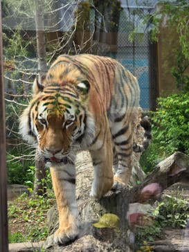 那須どうぶつ王国に投稿された画像（2024/5/30）