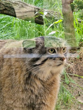 那須どうぶつ王国に投稿された画像（2024/5/30）