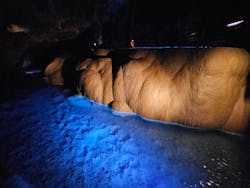 ラド観光 沖縄営業所に投稿された画像（2024/5/30）