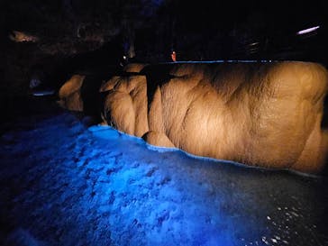 ラド観光 沖縄営業所に投稿された画像（2024/5/30）