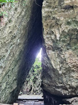 ラド観光 沖縄営業所に投稿された画像（2024/5/30）