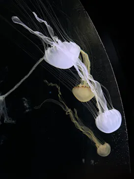 仙台うみの杜水族館に投稿された画像（2024/5/30）