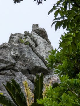 アスムイハイクスに投稿された画像（2024/5/30）