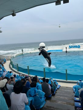 鴨川シーワールドに投稿された画像（2024/5/30）