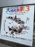 特別展「大哺乳類展３－わけてつなげて大行進」に投稿された画像（2024/5/30）