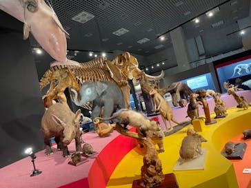 特別展「大哺乳類展３－わけてつなげて大行進」に投稿された画像（2024/5/30）