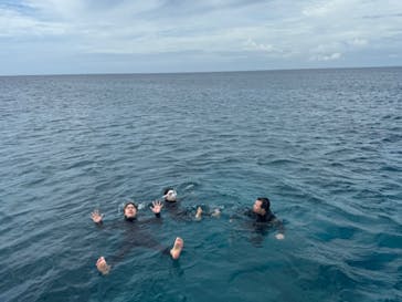 M.a.r.i.n.e Factoryに投稿された画像（2024/5/28）