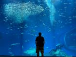 アクアワールド茨城県大洗水族館に投稿された画像（2024/5/30）