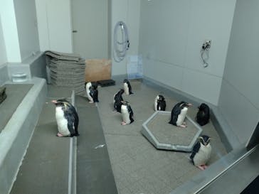 AOAO SAPPOROに投稿された画像（2024/5/30）