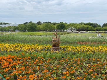 浜名湖花博2024に投稿された画像（2024/5/30）