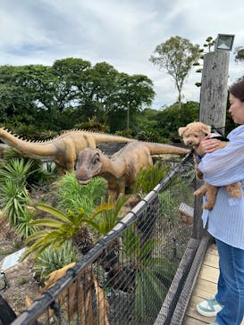 伊豆ぐらんぱる公園に投稿された画像（2024/5/30）