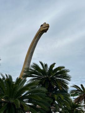 伊豆ぐらんぱる公園に投稿された画像（2024/5/30）