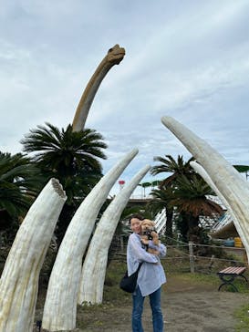 伊豆ぐらんぱる公園に投稿された画像（2024/5/30）