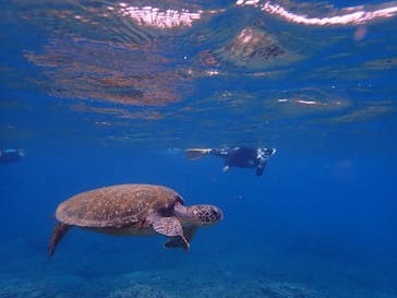 オーシャンブルヴァードに投稿された画像（2024/5/30）