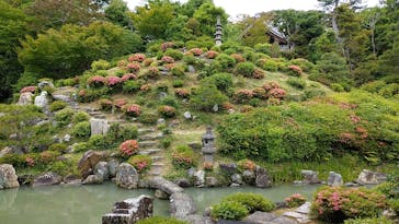 京阪電車に投稿された画像（2024/5/30）