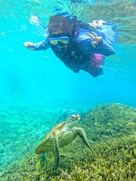 宮古島 ADVENTURE PiPi（ミヤコジマ アドベンチャー ピピ）に投稿された画像（2024/5/30）