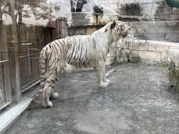 東武動物公園に投稿された画像（2024/5/30）